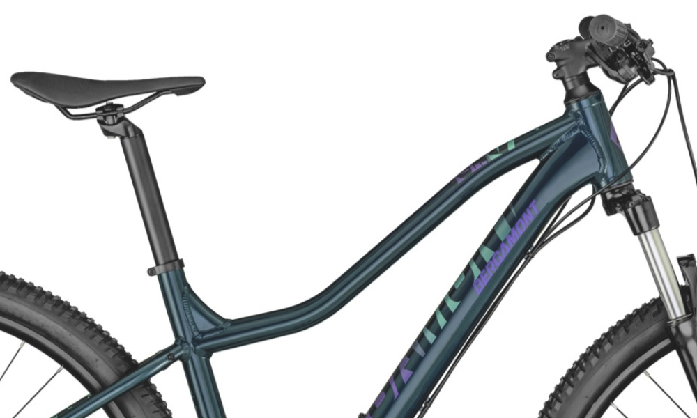 Фотография Велосипед Bergamont Revox 3 FMN 29" (2021) 2021 Сине-фиолетовый 